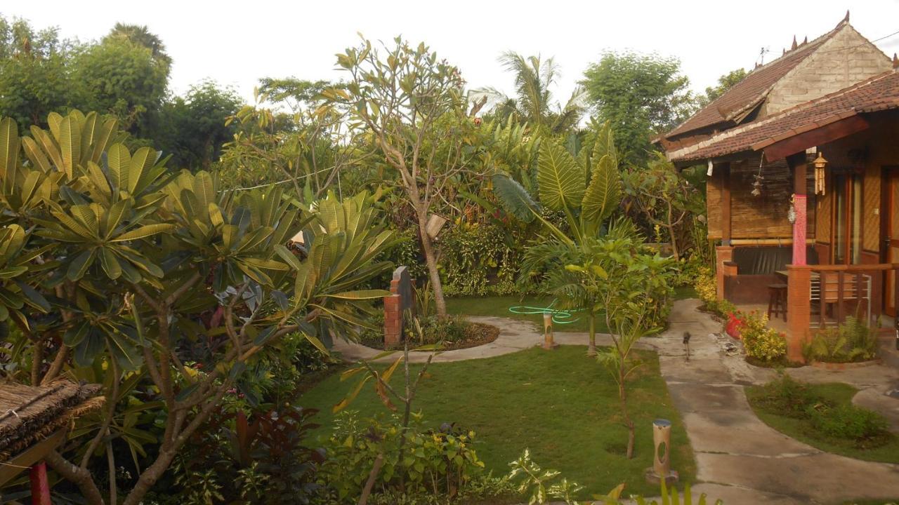 Taman Menjangan Homestay By Snorkelingmenjangan Banyuwedang Exterior photo