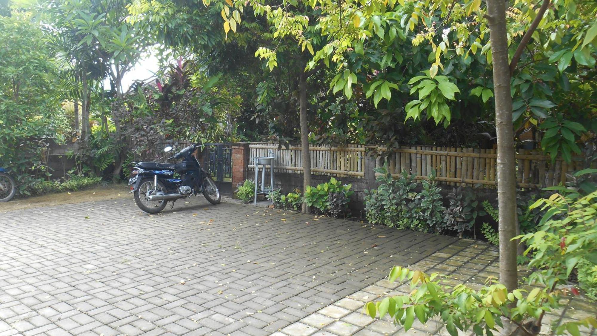 Taman Menjangan Homestay By Snorkelingmenjangan Banyuwedang Exterior photo