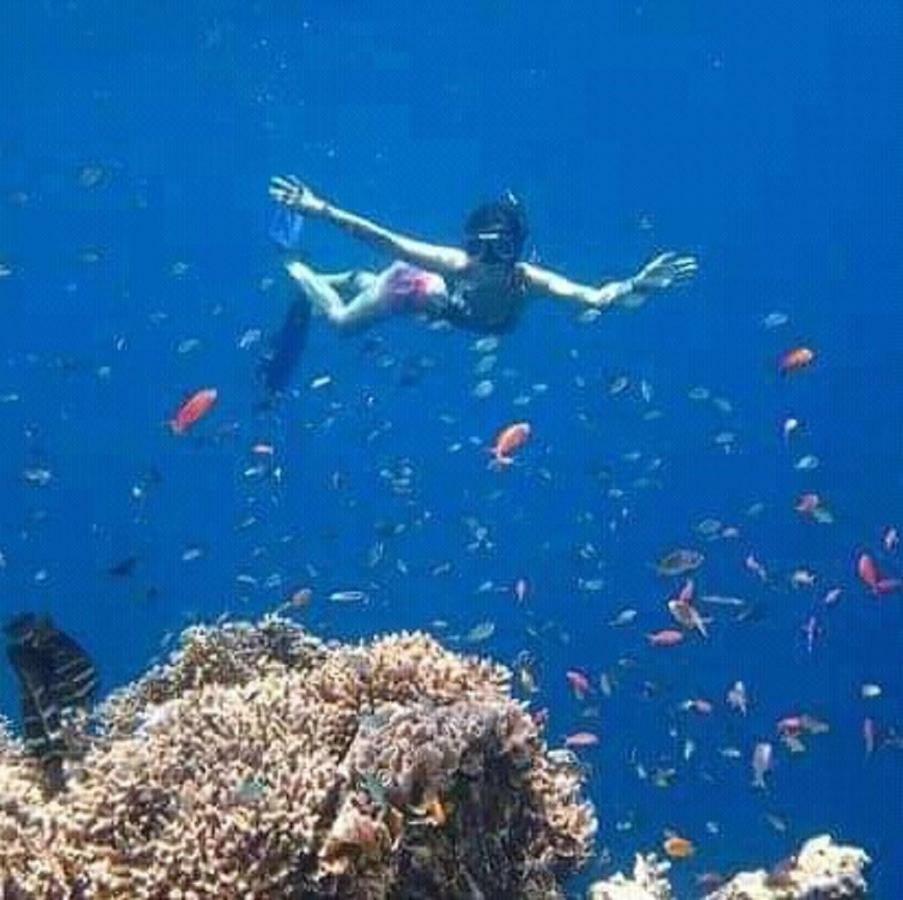 Taman Menjangan Homestay By Snorkelingmenjangan Banyuwedang Exterior photo